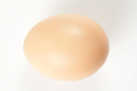 Raw brown egg isolated Stock Photos