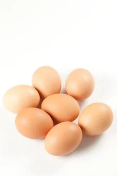 Raw brown egg isolated Stock Photos