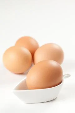 Raw brown egg isolated Stock Photos