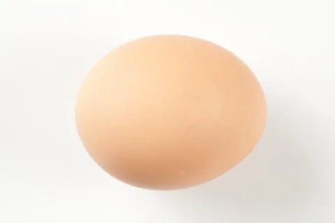 Raw brown egg isolated Stock Photos