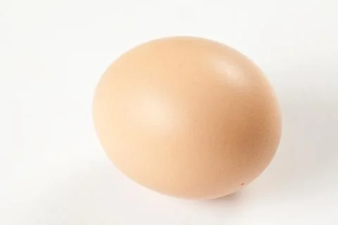 Raw brown egg isolated Stock Photos