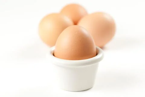 Raw brown egg isolated Stock Photos