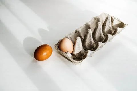 Raw brown eggs inside and outsideof carton eco box. Organic eco food concept. Stock Photos