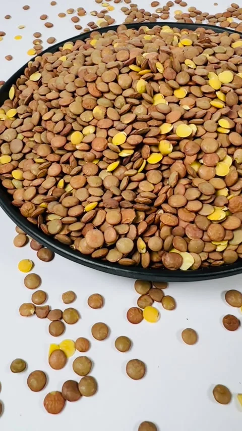 Raw brown lentils in dark plate, white background, vertical format, top view Stock Footage 336471832
