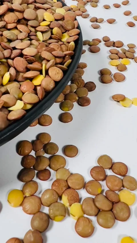 Raw brown lentils in dark plate, white background, vertical format, angled view Stock Footage 336471833