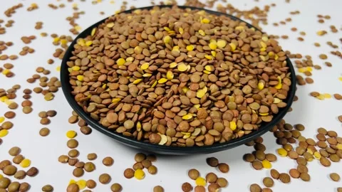 Raw brown lentils in dark plate, white background, horizontal format Stock Footage 336471835