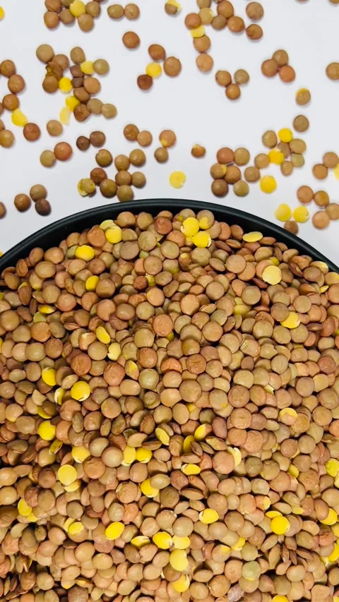 Raw brown lentils in dark plate, white background, vertical format, top view Stock Footage 336471839