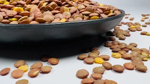 Raw brown lentils in dark plate, white background, vertical format, top view Stock Footage 336471840