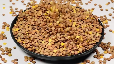 Raw brown lentils falling into dark plate,horizontal format, slow motion angled Stock Footage 336471841