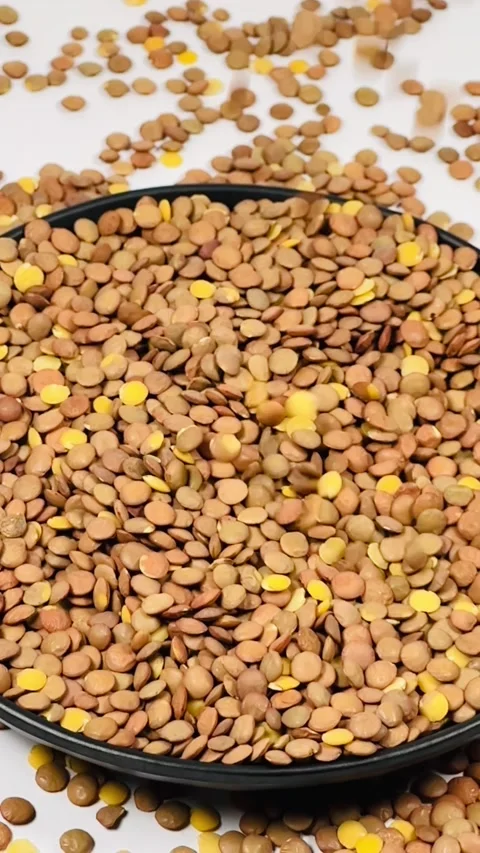 Raw brown lentils falling into dark plate, white background Stock Footage 336847741