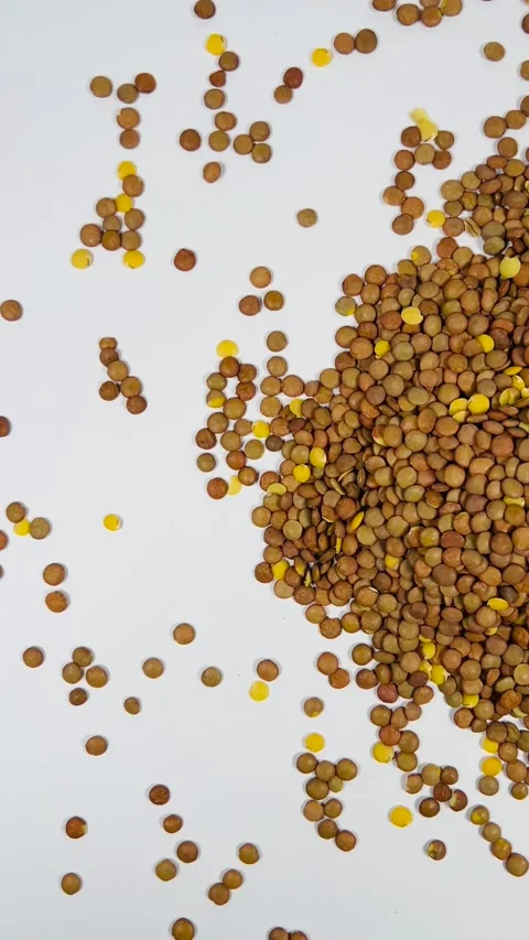 Raw brown lentils scattered on white background, vertical format, top view Stock Footage 336847738