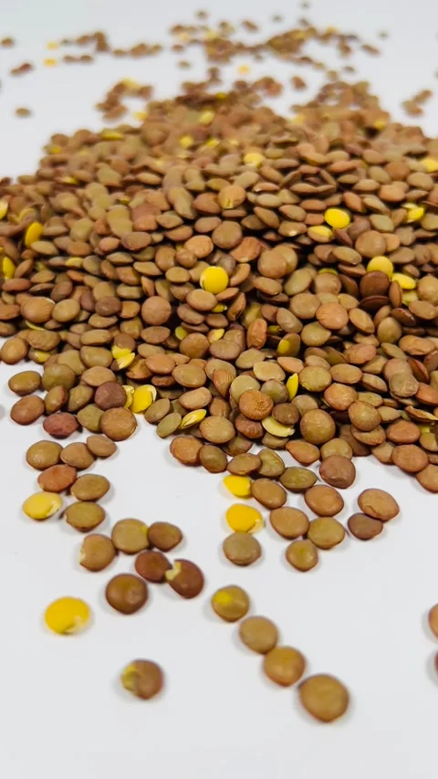 Raw brown lentils scattered on white background, vertical format, angled view Stock Footage 336847739