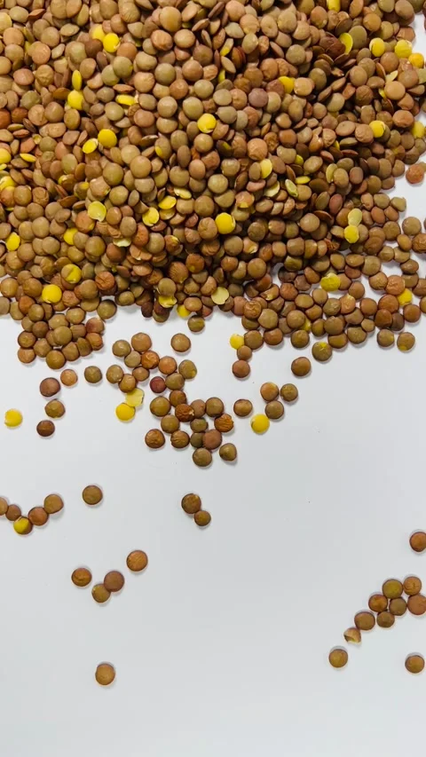 Raw brown lentils scattered on white background, vertical format, top view Stock Footage 336847740