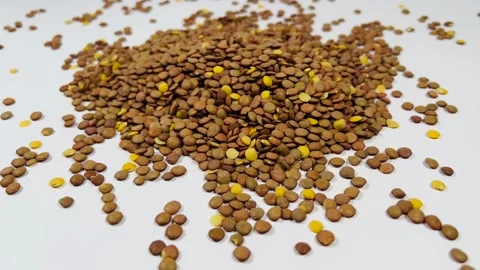Raw brown lentils scattered on white background, horizontal format, angled view Stock Footage 336847742