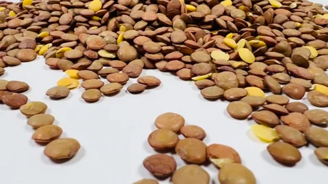 Raw brown lentils scattered on white background, horizontal format, angled view Stock Footage 336847744