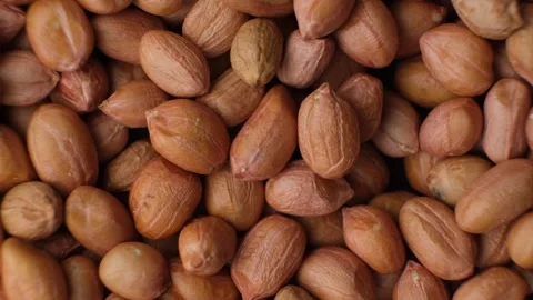 Raw brown peanuts close-up top view rotate Stock Footage 305830995