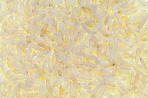 Raw brown rice in backlight - high definition pattern Stock Photos