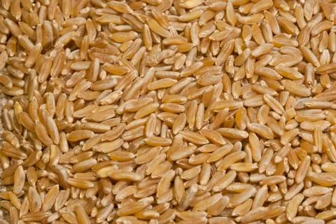 Raw brown rice Stock Photos
