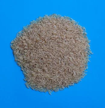 Raw brown uncleaned long rice on a blue background Stock Photos