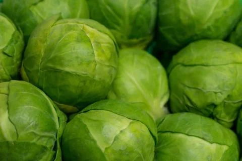 Raw Brussels sprouts Stock Photos