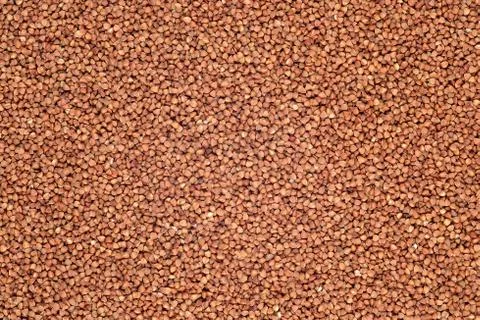 Raw buckwheat background Stock Photos