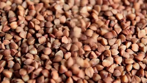 Raw buckwheat Stock Footage 152704734