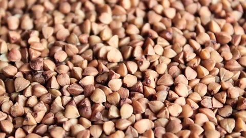 Raw buckwheat Stock Footage 152704740