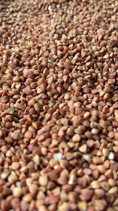 Raw buckwheat grains falling down. Vertical Stock Footage 336506930