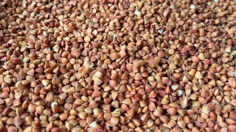 Raw buckwheat grains falling down Stock Footage 336506948