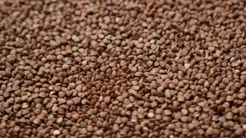 Raw buckwheat grains rotate, close-up. Stock Footage 125578669