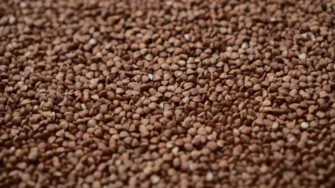 Raw buckwheat grains rotate, close-up. Stock Footage 126040646