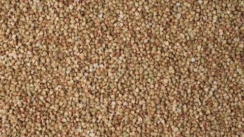Raw buckwheat groats grains background texture Stock Footage 342437042