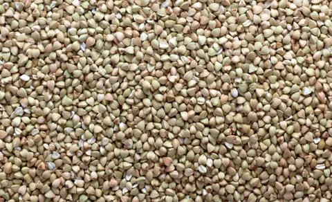 Raw buckwheat 库存照片