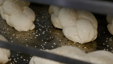 Raw buns on the tray. Process of baking breads. Stock Footage 109473048