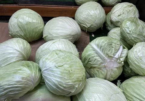 Raw cabbages Stock Photos