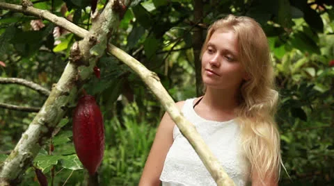 Raw Cacao Stock Footage 26217079