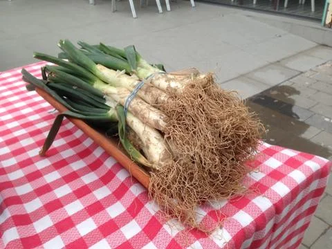 Raw calcots 스톡 사진