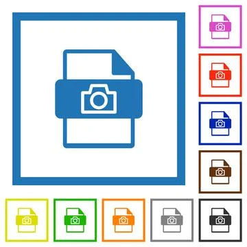 Raw camera file type flat framed icons イラスト素材