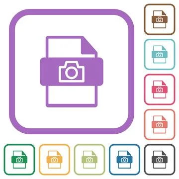 Raw camera file type simple icons Illustrazione stock