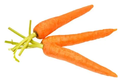 Raw Carrots Stock Photos