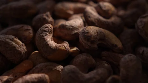 Raw cashew nuts lit by beam of sunlight on dark background Stock Footage 314262763