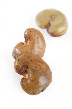 Raw cashew nuts Stock Photos