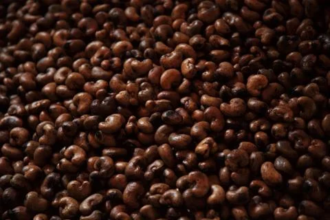 Raw cashew nuts in their shell Foto stock