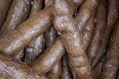 Raw Cassava Stack in Store Stock Photos