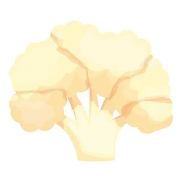 Raw cauliflower icon cartoon vector. Cabbage food Stock Illustration