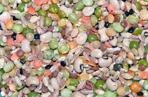 Raw cereal soup Stock Photos