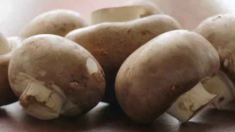 Raw champignons, close-up Stock Footage 69767383