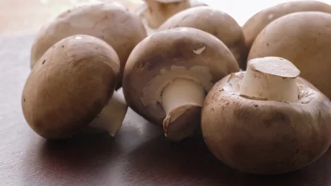 Raw champignons, close-up Stock Footage 69767941