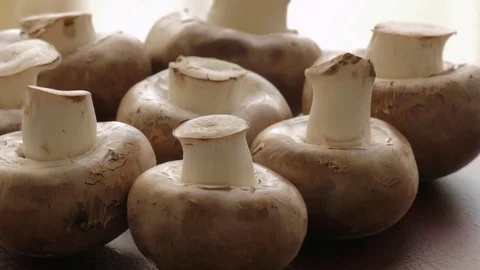 Raw champignons Stock Footage 69767377