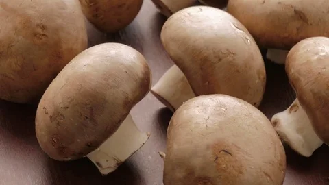 Raw champignons Stock Footage 69768112